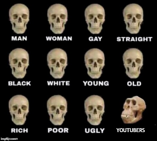 idiot skull | YOUTUBERS | image tagged in idiot skull | made w/ Imgflip meme maker