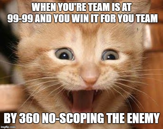 call of duty memes | WHEN YOU'RE TEAM IS AT 99-99 AND YOU WIN IT FOR YOU TEAM; BY 360 NO-SCOPING THE ENEMY | image tagged in memes,excited cat | made w/ Imgflip meme maker