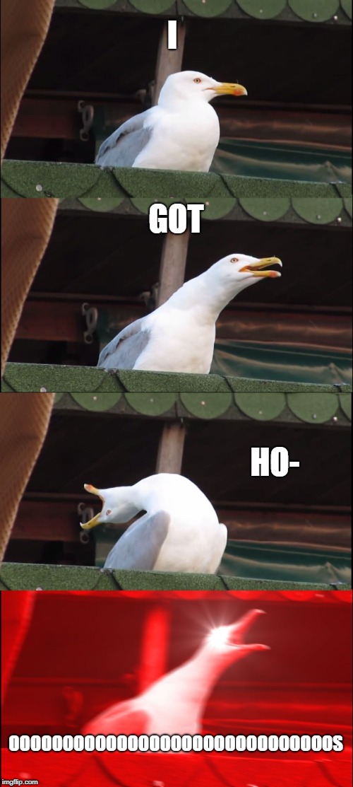 Inhaling Seagull | I; GOT; HO-; OOOOOOOOOOOOOOOOOOOOOOOOOOOOOOS | image tagged in memes,inhaling seagull | made w/ Imgflip meme maker