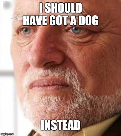 I SHOULD HAVE GOT A DOG INSTEAD | made w/ Imgflip meme maker