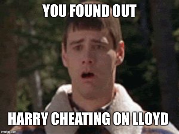 dumb and dumber gag | YOU FOUND OUT; HARRY CHEATING ON LLOYD | image tagged in dumb and dumber gag | made w/ Imgflip meme maker