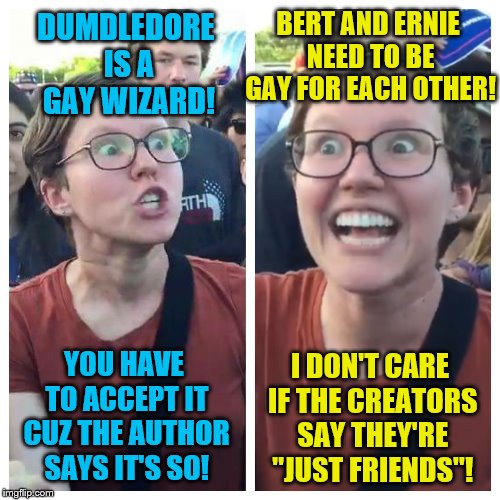Harry Potter and the Pansexual Puppets | BERT AND ERNIE NEED TO BE GAY FOR EACH OTHER! DUMDLEDORE IS A GAY WIZARD! YOU HAVE TO ACCEPT IT CUZ THE AUTHOR SAYS IT'S SO! I DON'T CARE IF THE CREATORS SAY THEY'RE "JUST FRIENDS"! | image tagged in social justice warrior hypocrisy,memes,triggered feminist,lgbtq,sesame street,harry potter | made w/ Imgflip meme maker