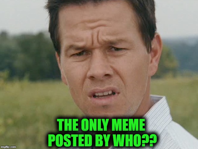 Huh  | THE ONLY MEME POSTED BY WHO?? | image tagged in huh | made w/ Imgflip meme maker