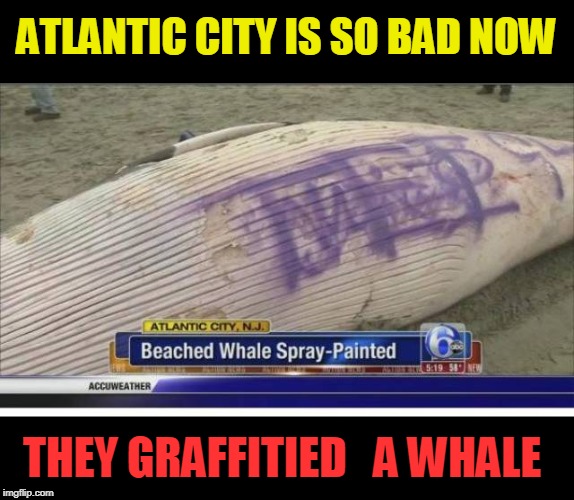 ATLANTIC CITY IS SO BAD NOW; THEY GRAFFITIED   A WHALE | image tagged in graffiti,atlantic city,thugs | made w/ Imgflip meme maker