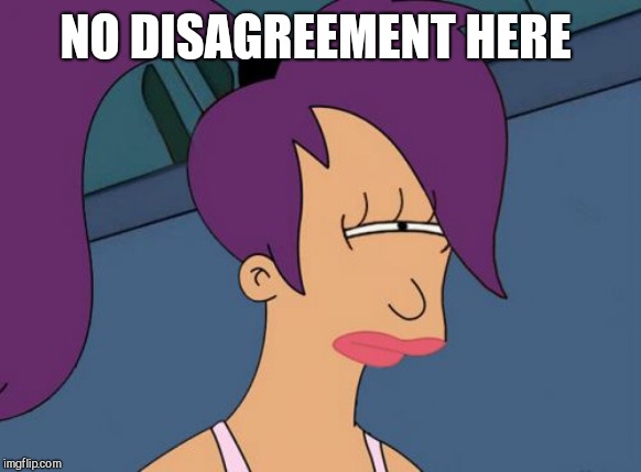 Futurama Leela Meme | NO DISAGREEMENT HERE | image tagged in memes,futurama leela | made w/ Imgflip meme maker