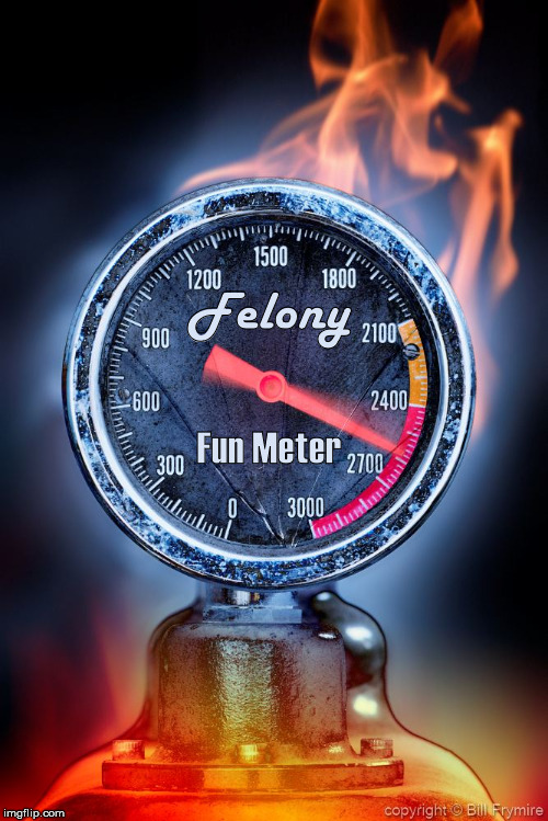 Felony Fun | Felony; Fun Meter | image tagged in felony,meter,fun | made w/ Imgflip meme maker