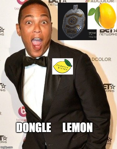 Dongle Lemon | LEMON; DONGLE | image tagged in resident evil 2 remake,dongle,don lemon,lemons,slightly bitter | made w/ Imgflip meme maker