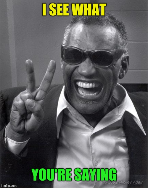 Ray Charles | I SEE WHAT YOU'RE SAYING | image tagged in ray charles | made w/ Imgflip meme maker