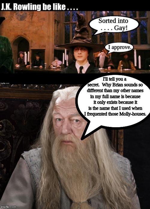 no pedo | I'll tell you a secret.  Why Brian sounds so different than my other names in my full name is because it only exists because it is the name that I used when I frequented those Molly-houses. | image tagged in harry potter,memes,dumbledore | made w/ Imgflip meme maker