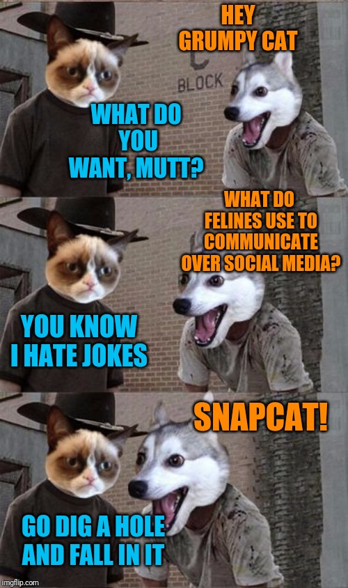 Grumpy Cat And Bad Pun Dog - Fantastic Yet Ultimately Doomed Team  | HEY GRUMPY CAT; WHAT DO YOU WANT, MUTT? WHAT DO FELINES USE TO COMMUNICATE OVER SOCIAL MEDIA? YOU KNOW I HATE JOKES; SNAPCAT! GO DIG A HOLE AND FALL IN IT | image tagged in grumpy cat and bad pun dog,memes,cats,grumpy cat not amused,bad pun dog,go away | made w/ Imgflip meme maker