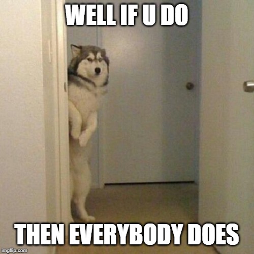 WELL IF U DO THEN EVERYBODY DOES | image tagged in siberian dog | made w/ Imgflip meme maker