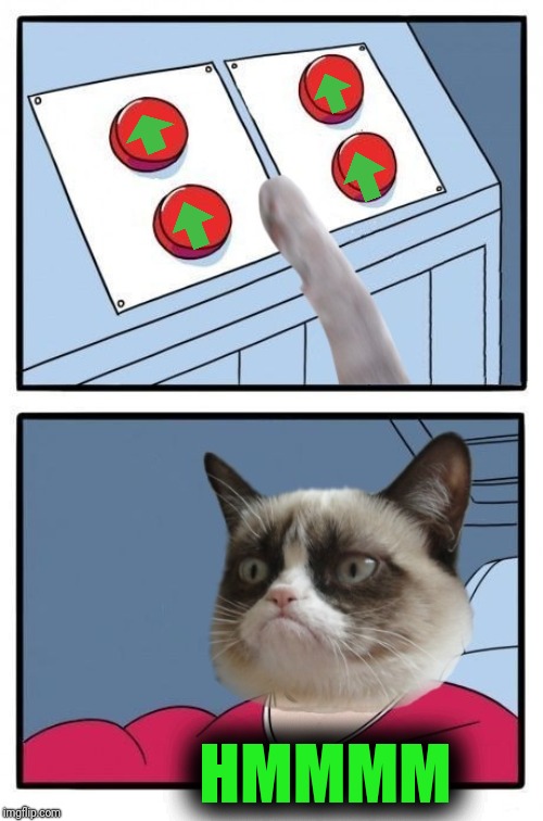 Grumpy Cat Four Buttons | HMMMM | image tagged in grumpy cat four buttons | made w/ Imgflip meme maker