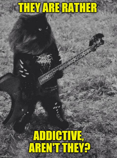 Black Metal Cat | THEY ARE RATHER ADDICTIVE, AREN'T THEY? | image tagged in black metal cat | made w/ Imgflip meme maker