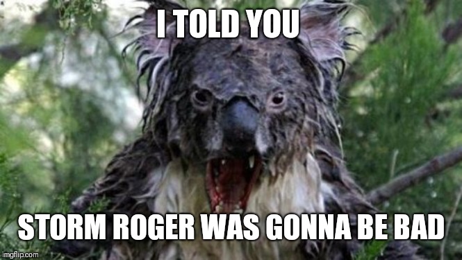 Angry Koala | I TOLD YOU; STORM ROGER WAS GONNA BE BAD | image tagged in memes,angry koala | made w/ Imgflip meme maker