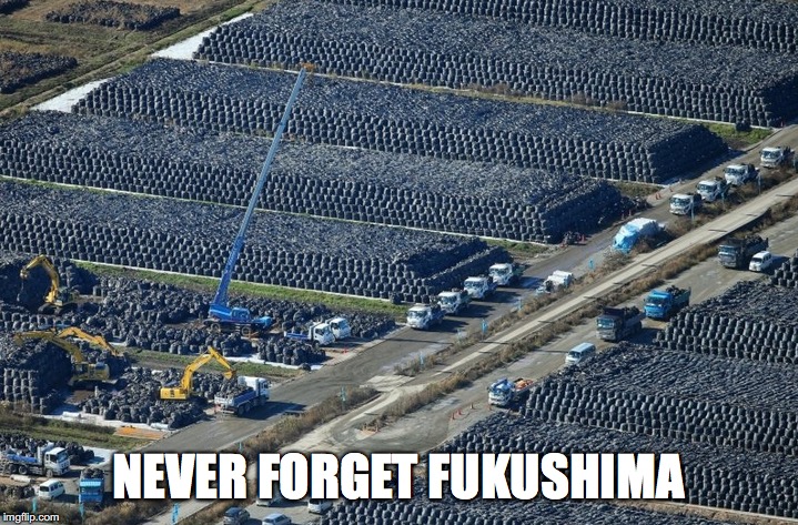 NEVER FORGET FUKUSHIMA | image tagged in fukushima wastewater | made w/ Imgflip meme maker