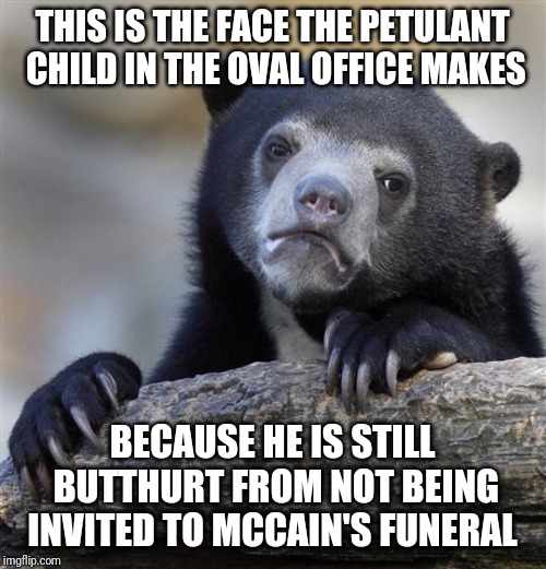 Confession Bear Meme | THIS IS THE FACE THE PETULANT CHILD IN THE OVAL OFFICE MAKES; BECAUSE HE IS STILL BUTTHURT FROM NOT BEING INVITED TO MCCAIN'S FUNERAL | image tagged in memes,confession bear | made w/ Imgflip meme maker