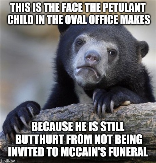 Confession Bear | THIS IS THE FACE THE PETULANT CHILD IN THE OVAL OFFICE MAKES; BECAUSE HE IS STILL BUTTHURT FROM NOT BEING INVITED TO MCCAIN'S FUNERAL | image tagged in memes,confession bear | made w/ Imgflip meme maker