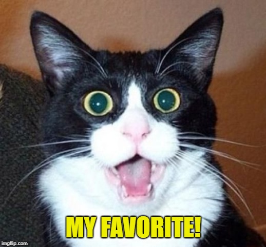 whoa cat | MY FAVORITE! | image tagged in whoa cat | made w/ Imgflip meme maker