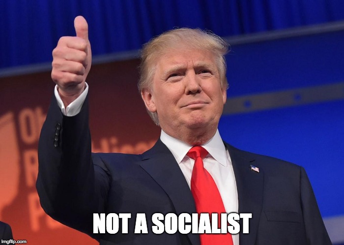 donald trump | NOT A SOCIALIST | image tagged in donald trump | made w/ Imgflip meme maker