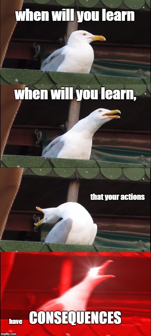 when will you learn | when will you learn; when will you learn, that your actions; CONSEQUENCES; have | image tagged in memes,inhaling seagull,when will you learn,that your actions,have consequences,sammyclassicsonicfan | made w/ Imgflip meme maker
