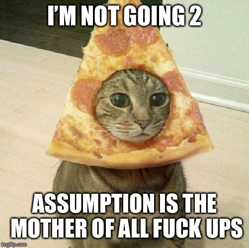 PIZZA CAT | I’M NOT GOING 2 ASSUMPTION IS THE MOTHER OF ALL F**K UPS | image tagged in pizza cat | made w/ Imgflip meme maker