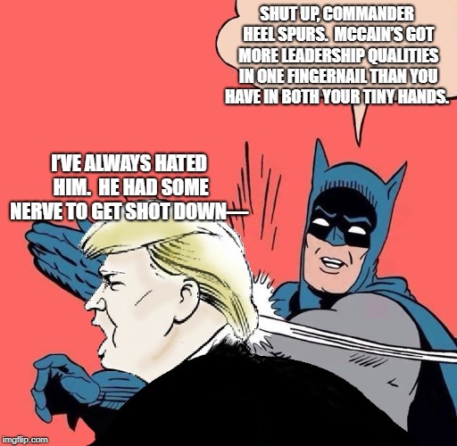 Batman slaps Trump | SHUT UP, COMMANDER HEEL SPURS.  MCCAIN’S GOT MORE LEADERSHIP QUALITIES IN ONE FINGERNAIL THAN YOU HAVE IN BOTH YOUR TINY HANDS. I’VE ALWAYS HATED HIM.  HE HAD SOME NERVE TO GET SHOT DOWN— | image tagged in batman slaps trump | made w/ Imgflip meme maker