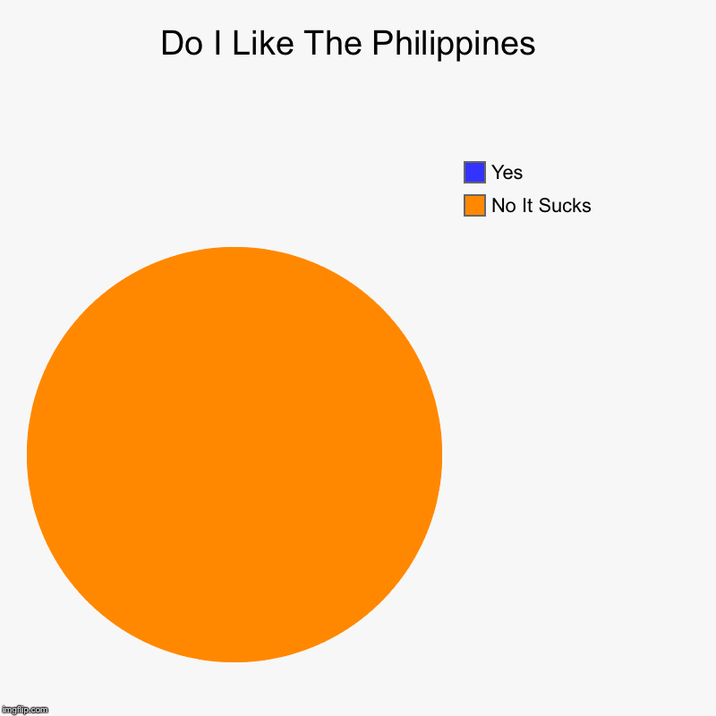 Do I Like The Philippines  | No It Sucks, Yes | image tagged in charts,pie charts | made w/ Imgflip chart maker