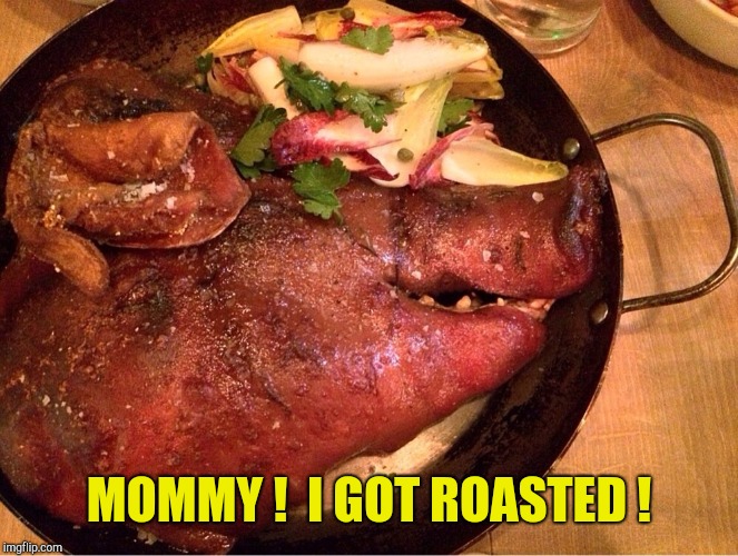 roasted pig head | MOMMY !  I GOT ROASTED ! | image tagged in roasted pig head | made w/ Imgflip meme maker