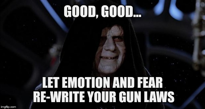 Exactly what the killer wanted | GOOD, GOOD... LET EMOTION AND FEAR RE-WRITE YOUR GUN LAWS | image tagged in let the hate flow through you,gun laws,gun control,nz shooting | made w/ Imgflip meme maker