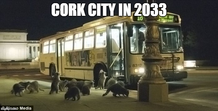 cork | CORK CITY IN 2033 | image tagged in raccoons,cork | made w/ Imgflip meme maker