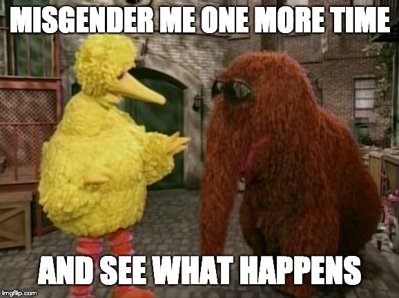 Big Bird And Snuffy | MISGENDER ME ONE MORE TIME; AND SEE WHAT HAPPENS | image tagged in memes,big bird and snuffy | made w/ Imgflip meme maker