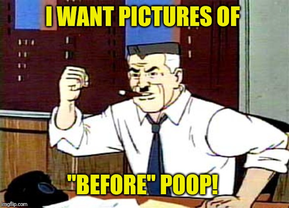 I WANT PICTURES OF SPIDERMAN | I WANT PICTURES OF "BEFORE" POOP! | image tagged in i want pictures of spiderman | made w/ Imgflip meme maker