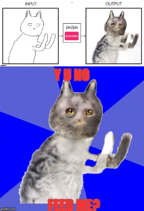 Thanks to AndrewFinlayson for this computer generated kitty :) | Y U NO; FEED ME? | image tagged in memes,andrewfinlayson | made w/ Imgflip meme maker