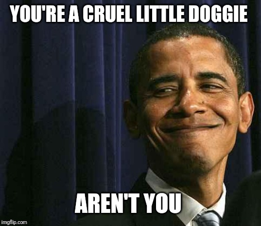 Smug Obama | YOU'RE A CRUEL LITTLE DOGGIE AREN'T YOU | image tagged in smug obama | made w/ Imgflip meme maker