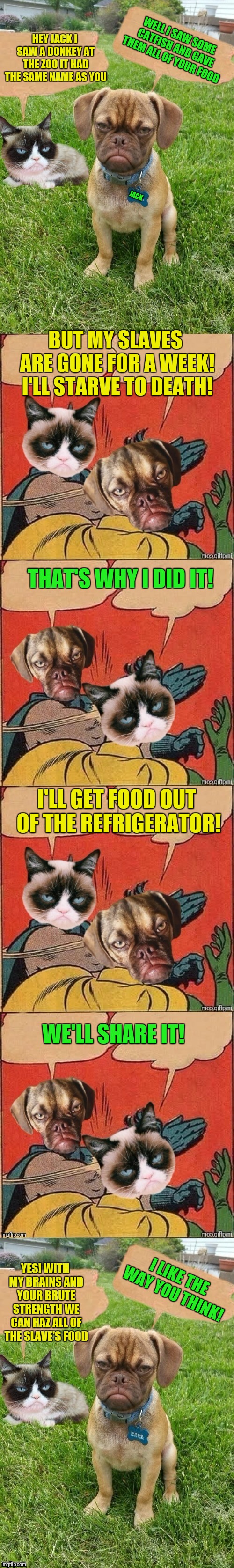 44colt's Meme Template Challenge March 18-24 (A 44colt event) Follow the link in the comments below for templates☺ | HEY JACK I SAW A DONKEY AT THE ZOO IT HAD THE SAME NAME AS YOU; WELL I SAW SOME CATFISH AND GAVE THEM ALL OF YOUR FOOD; JACK; BUT MY SLAVES ARE GONE FOR A WEEK! I'LL STARVE TO DEATH! THAT'S WHY I DID IT! I'LL GET FOOD OUT OF THE REFRIGERATOR! WE'LL SHARE IT! YES! WITH MY BRAINS AND YOUR BRUTE STRENGTH WE CAN HAZ ALL OF THE SLAVE'S FOOD; I LIKE THE WAY YOU THINK! | image tagged in battle of the grumps,44colt's meme challenge,memes,grumpy cat,batman slapping robin,44colt | made w/ Imgflip meme maker
