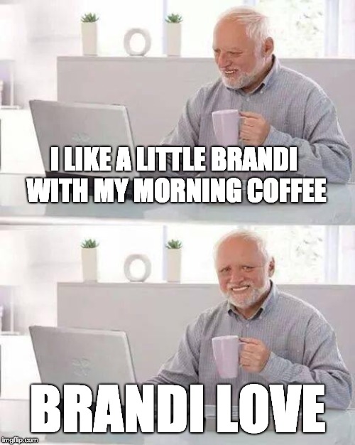 Hide the Pain Harold Meme | I LIKE A LITTLE BRANDI WITH MY MORNING COFFEE; BRANDI LOVE | image tagged in memes,hide the pain harold | made w/ Imgflip meme maker