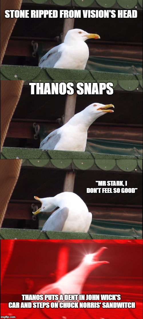 Inhaling Seagull Meme | STONE RIPPED FROM VISION'S HEAD; THANOS SNAPS; "MR STARK, I DON'T FEEL SO GOOD"; THANOS PUTS A DENT IN JOHN WICK'S CAR AND STEPS ON CHUCK NORRIS' SANDWITCH | image tagged in memes,inhaling seagull | made w/ Imgflip meme maker
