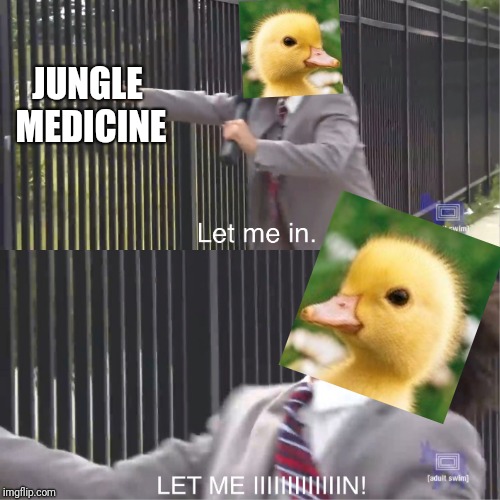 let me in | JUNGLE MEDICINE | image tagged in let me in | made w/ Imgflip meme maker