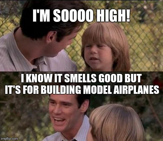 That's Just Something X Say Meme | I'M SOOOO HIGH! I KNOW IT SMELLS GOOD BUT IT'S FOR BUILDING MODEL AIRPLANES | image tagged in memes,thats just something x say | made w/ Imgflip meme maker