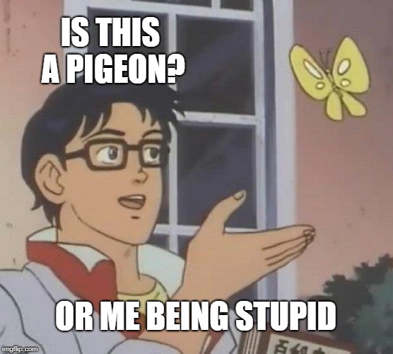 Is This A Pigeon Meme | IS THIS A PIGEON? OR ME BEING STUPID | image tagged in memes,is this a pigeon | made w/ Imgflip meme maker