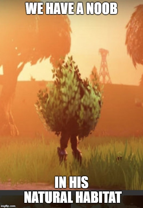 Fortnite bush | WE HAVE A NOOB; IN HIS NATURAL HABITAT | image tagged in fortnite bush | made w/ Imgflip meme maker