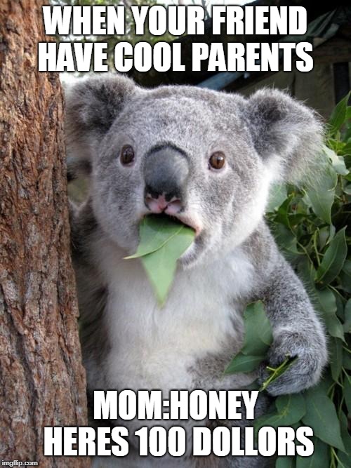 Surprised Koala Meme | WHEN YOUR FRIEND HAVE COOL PARENTS; MOM:HONEY HERES 100 DOLLORS | image tagged in memes,surprised koala | made w/ Imgflip meme maker