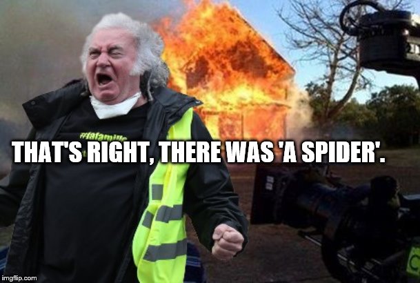 Arachnophobias...  | THAT'S RIGHT, THERE WAS 'A SPIDER'. | image tagged in spiders,spider,firefighter,fake news,fear | made w/ Imgflip meme maker