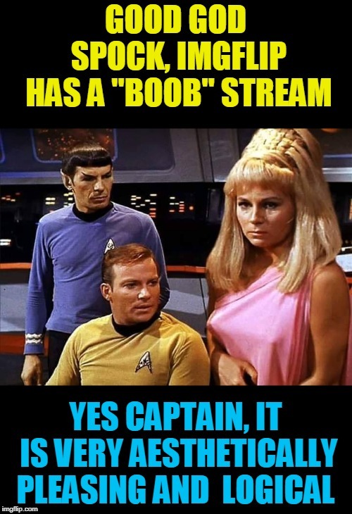 ; | image tagged in logical | made w/ Imgflip meme maker