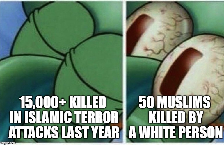 Squidward | 15,000+ KILLED IN ISLAMIC TERROR ATTACKS LAST YEAR; 50 MUSLIMS KILLED BY A WHITE PERSON | image tagged in squidward | made w/ Imgflip meme maker