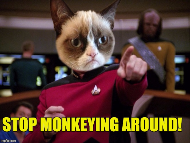 STOP MONKEYING AROUND! | made w/ Imgflip meme maker