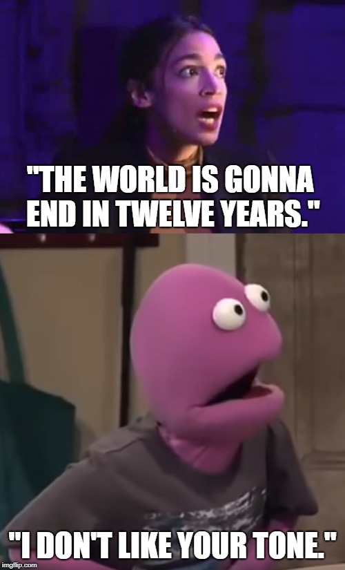 I don't like your tone | "THE WORLD IS GONNA END IN TWELVE YEARS."; "I DON'T LIKE YOUR TONE." | image tagged in memes,puppet,quotes,alexandria ocasio-cortez,crazy alexandria ocasio-cortez | made w/ Imgflip meme maker