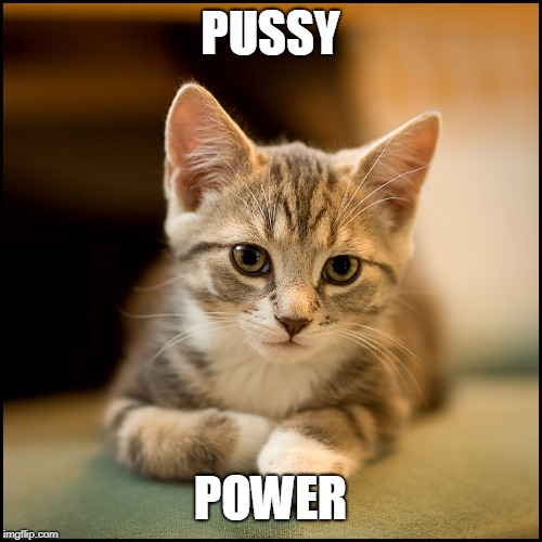 PUSSYCAT  | PUSSY; POWER | image tagged in pussycat | made w/ Imgflip meme maker