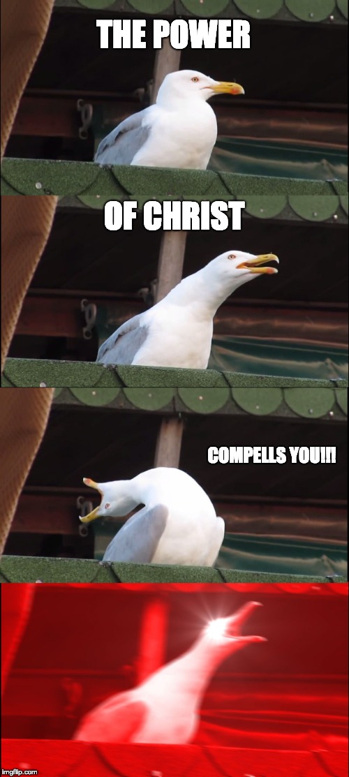 Inhaling Seagull | THE POWER; OF CHRIST; COMPELLS YOU!!! | image tagged in memes,inhaling seagull | made w/ Imgflip meme maker
