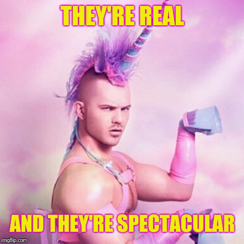 Unicorn MAN Meme | THEY'RE REAL AND THEY'RE SPECTACULAR | image tagged in memes,unicorn man | made w/ Imgflip meme maker